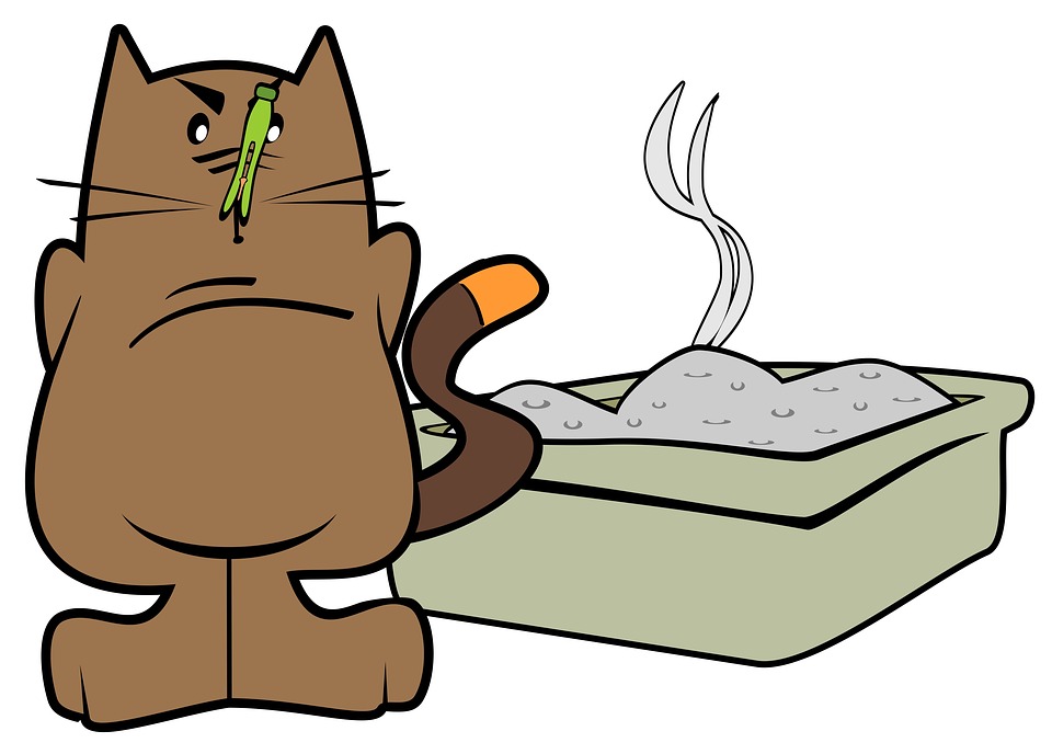 Natural Remedies For Constipation