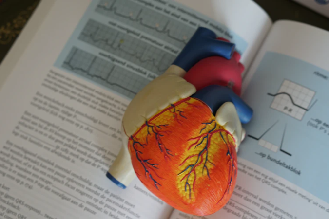 The Difference Between BLS and ACLS Training